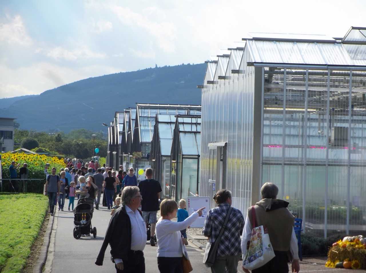 Fig 1. An open house at Geisenheim University showcased the convergence of high tech and agriculture.
